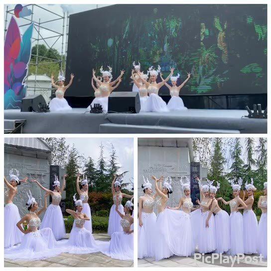 国风舞蹈《风雅》
