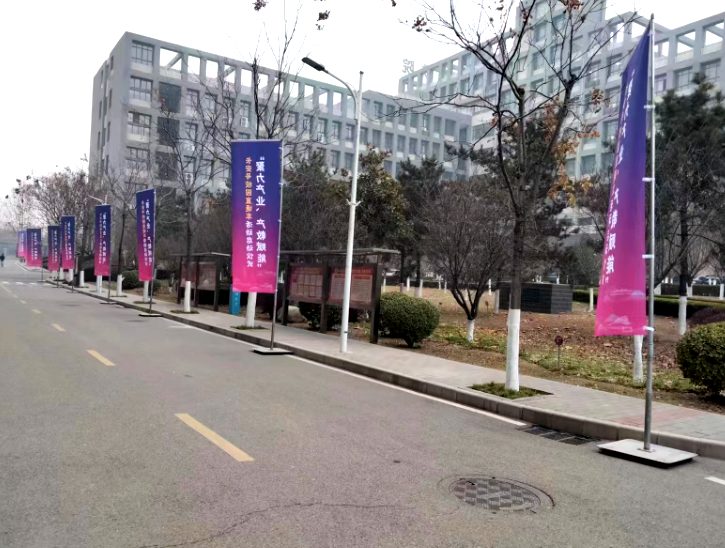 刀旗 实拍图2